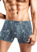 CLE MSH552341  . - fancymoda.ru 