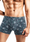 CLE MSH552411  . - fancymoda.ru 