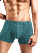 CLE MSH552421  . - fancymoda.ru 