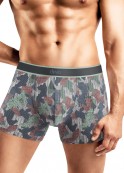 CLE MSH553023  . - fancymoda.ru 