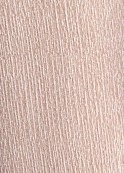 CLEVER ����� ���. 266903/216��� - fancymoda.ru ������������