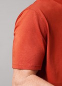 CLEVER �������� ���. 462660/06��_� - fancymoda.ru ������������