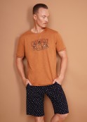 CLEVER MHP460413/1 ����� ������ ���. - fancymoda.ru ������������