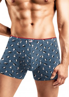 CLEVER MSH561063 ����� ���. - fancymoda.ru ������������