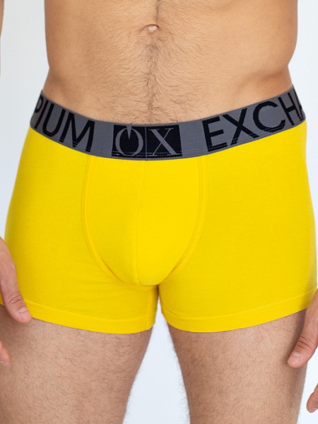 Трусы боксеры R54 - fancymoda.ru Екатеринбург